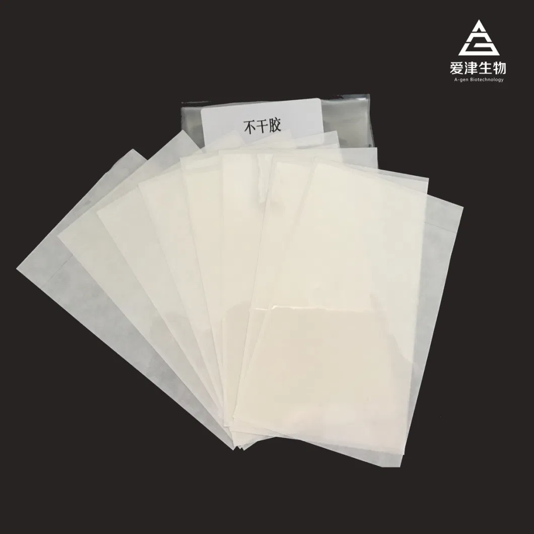 Disposables Adhesive Sealing Film Used Directly on PCR Plate