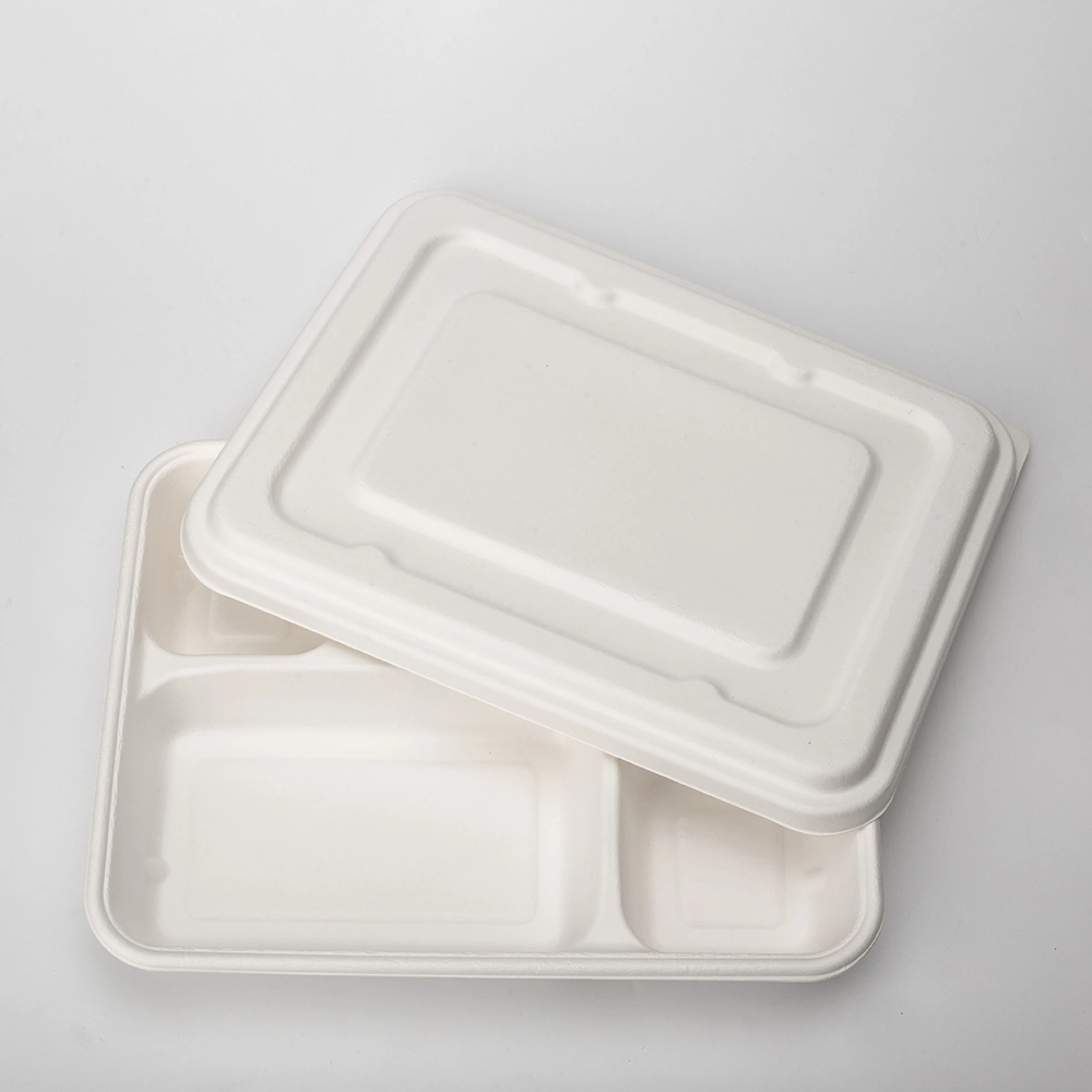 Bagasse Paper Pulp Bento Container Lunch Box Biodegradable Food Container School&Restaurant Takeaway Plate Lid